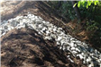 Row of Stone to Slow Overflow Runoff From the Gardens