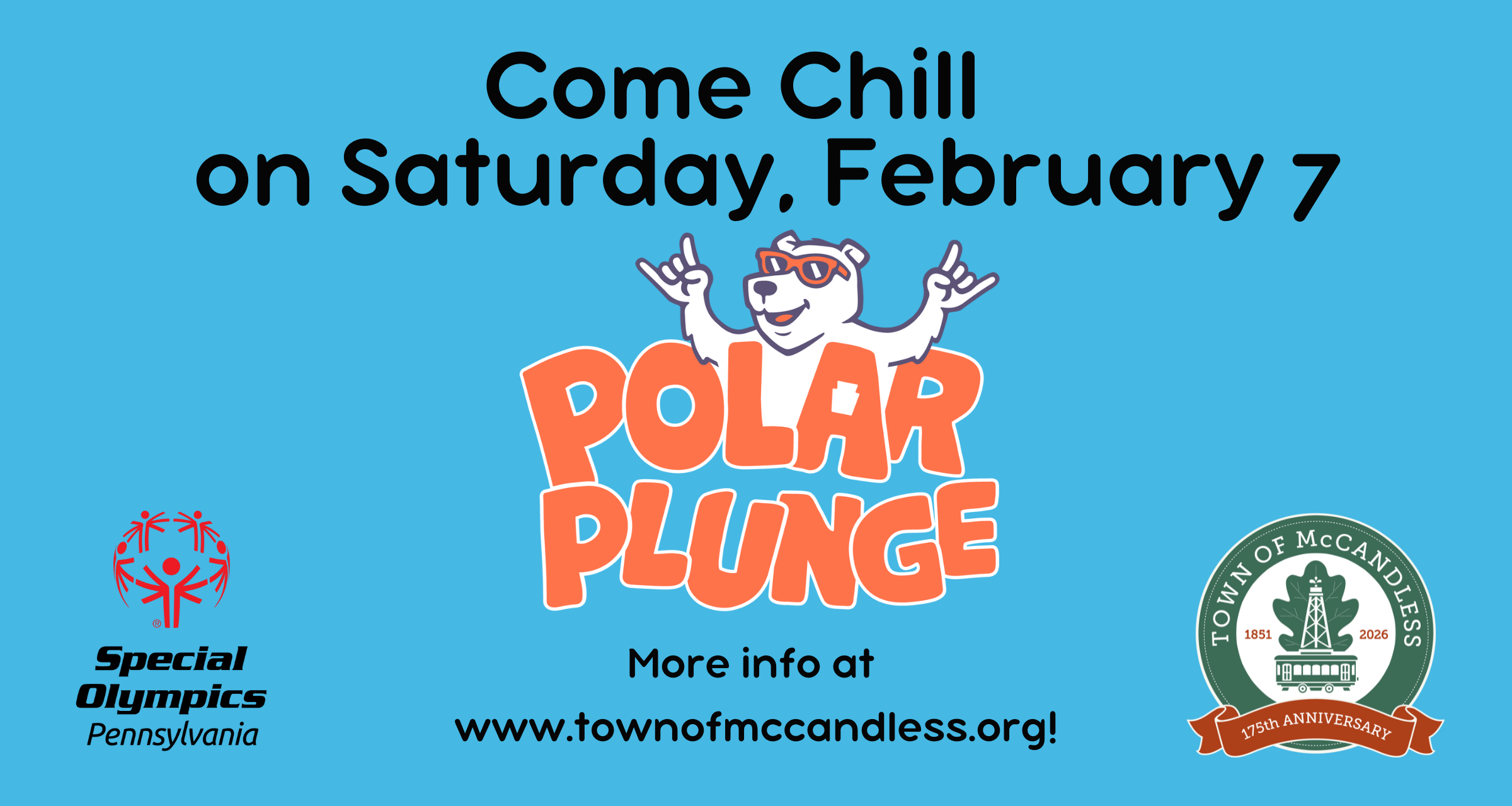 Polar Plunge 