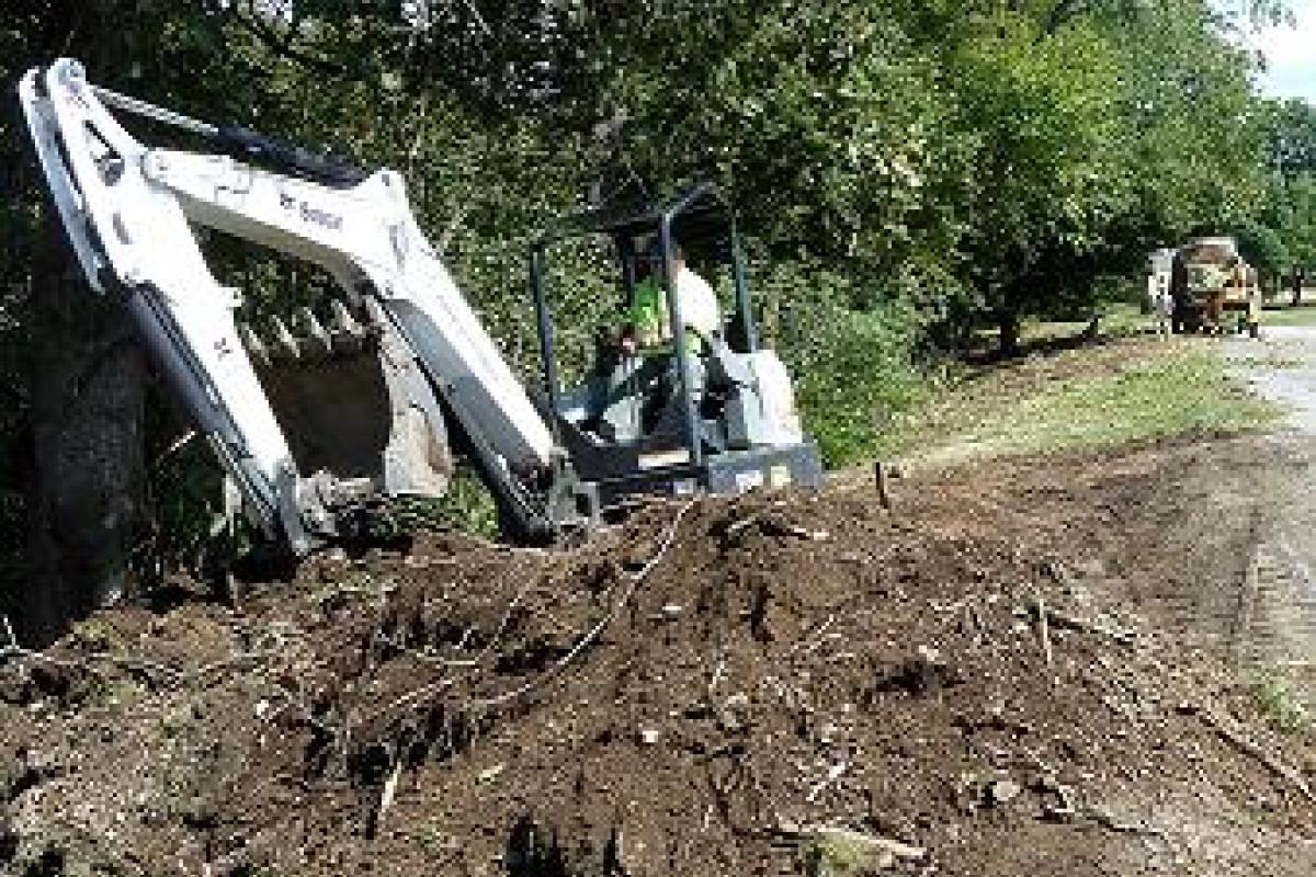 Excavator Digging up Roots