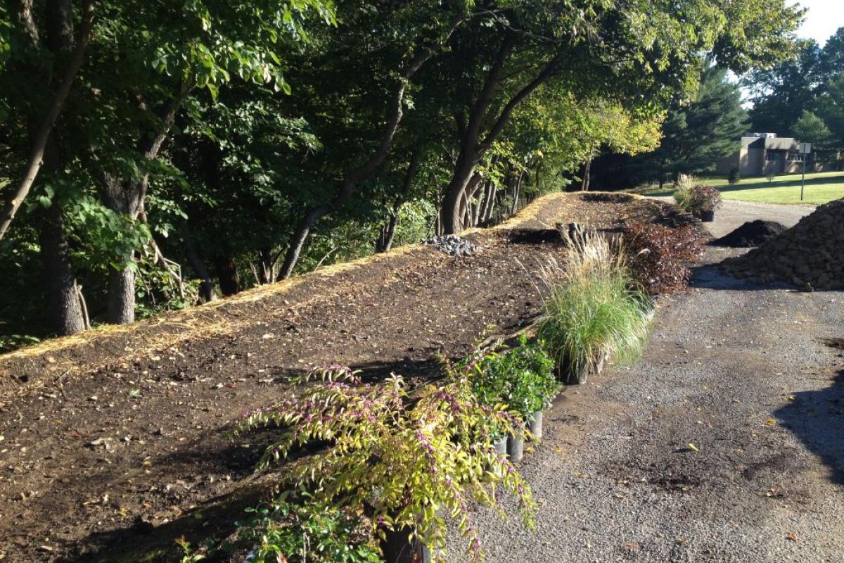 Gardens Completely Void of Any Water Through Natural Percolation