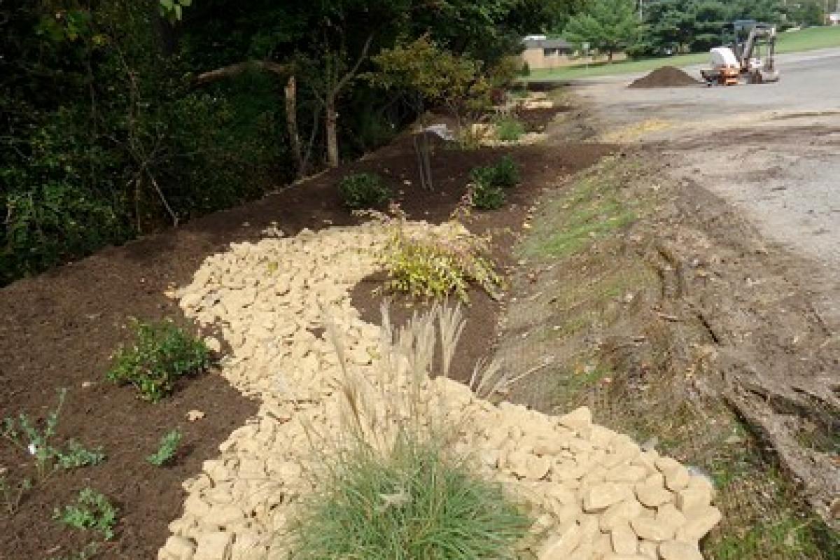 Looking down the Road at Rain Garden 1