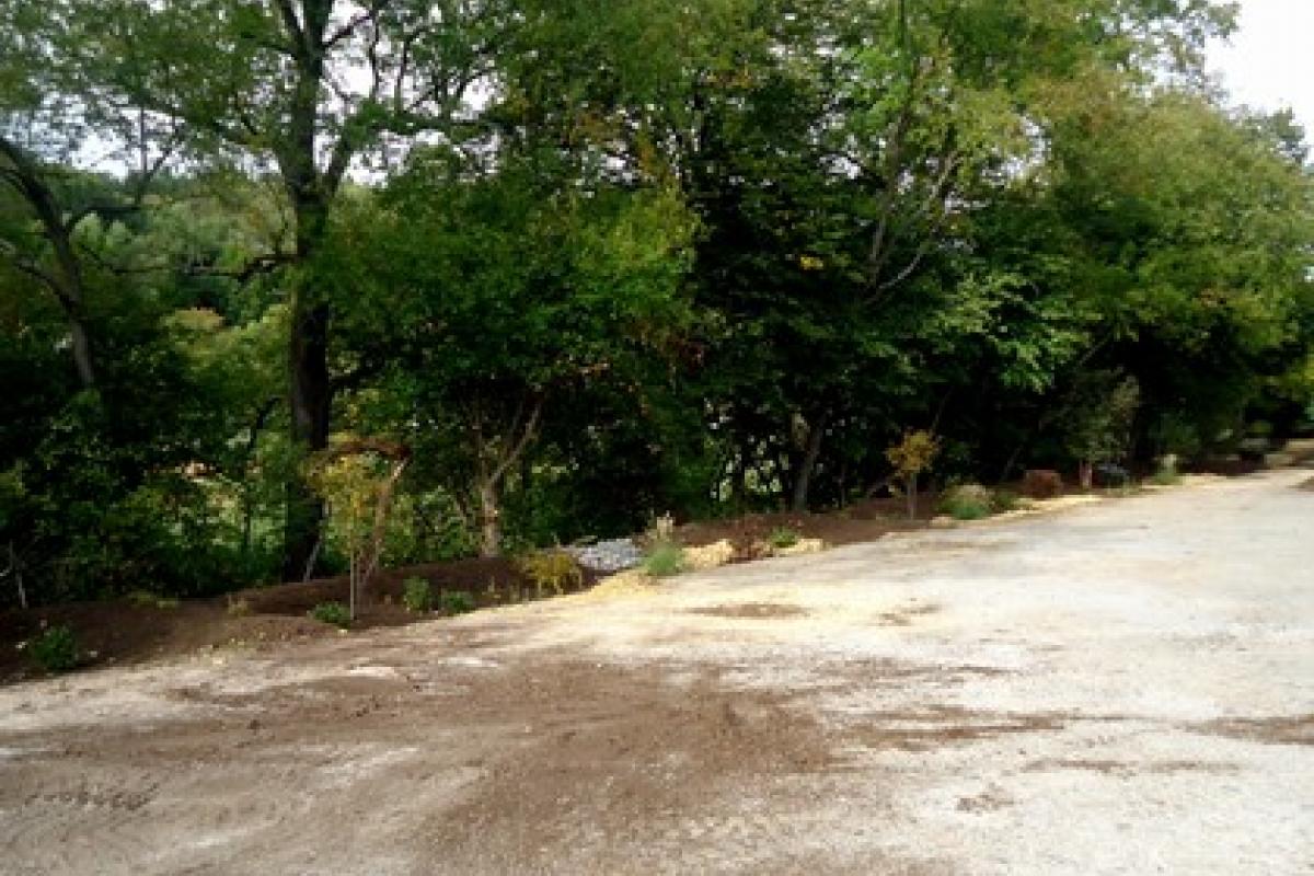 Rain Gardens From the Road